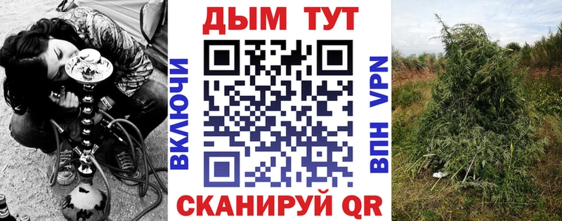 Купить ГАШ  COCAIN  A-PVP  Псилоцибиновые грибы  МЕФ  Пионерский