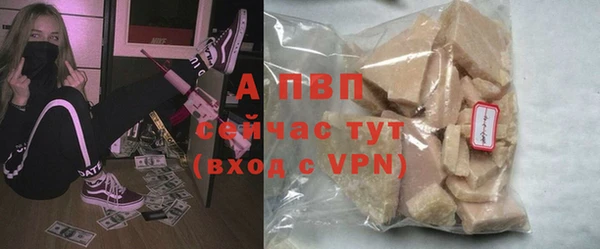 стафф Кодинск
