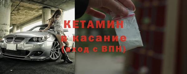 стафф Кодинск