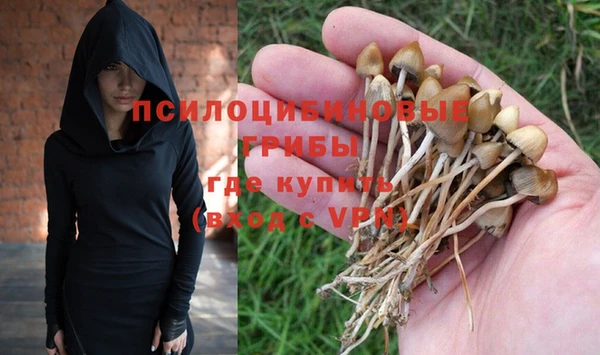 мдпв Корсаков