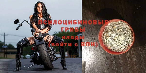 стафф Кодинск