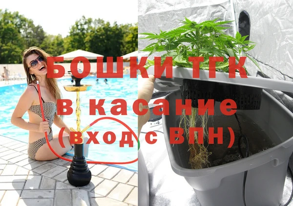 стафф Кодинск
