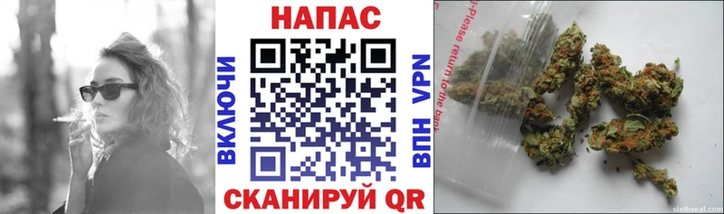 Шишки марихуана план  Купить  Пионерский 